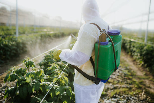  Liberty, UT Pest Control Pros